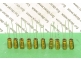 Nichicon FG 3,3uF 50V